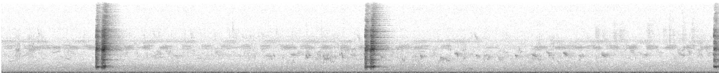 Ring-necked Pheasant - ML645523719