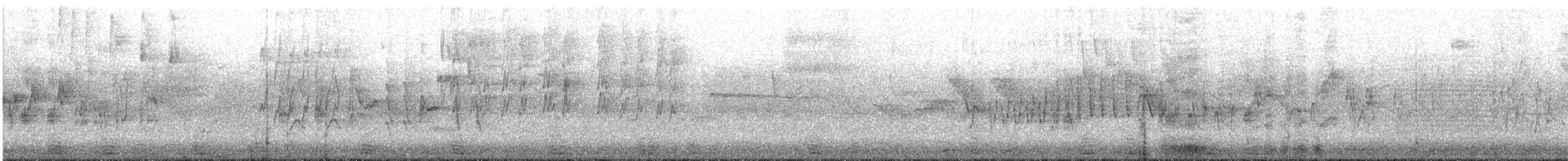 čížek vousatý - ML645524091