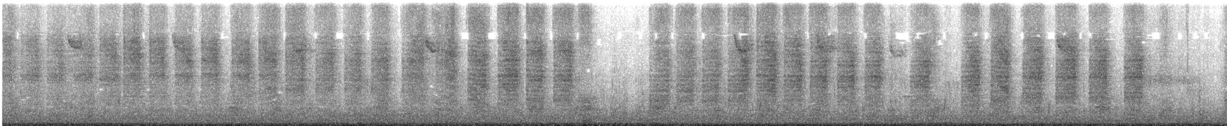 Carolina Wren - ML645524124