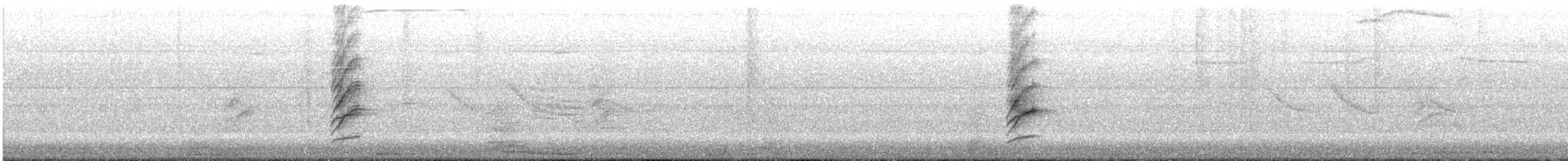 Austral Thrush - ML645524210