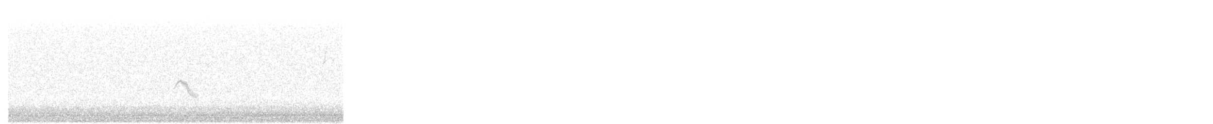 Grauwangen-Musendrossel - ML645524282