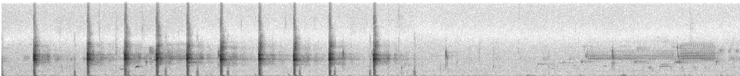 King Rail - ML645524576