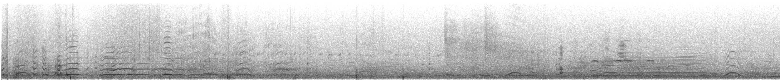 Tundra Swan - ML645525295