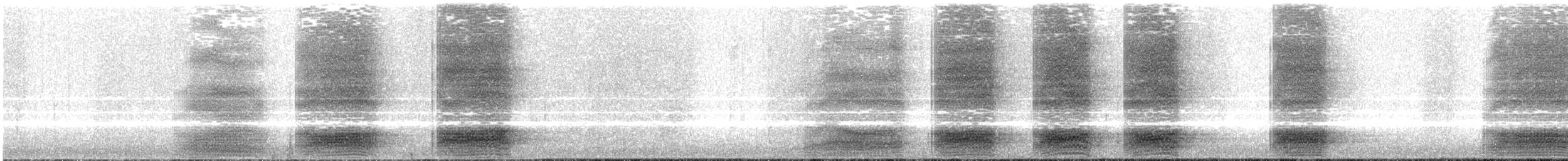 Hispaniolan Palm-Crow - ML645525501