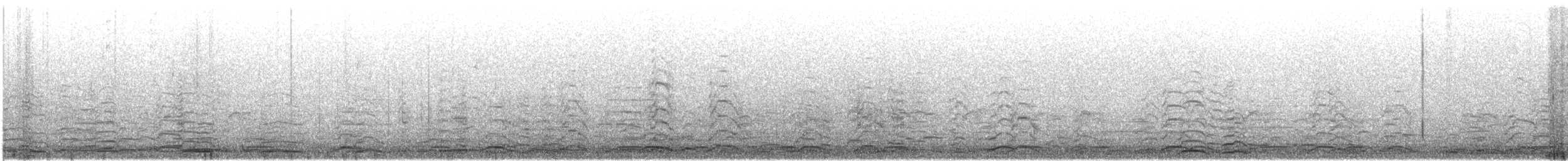 Tundra/Whooper Swan - ML645525518