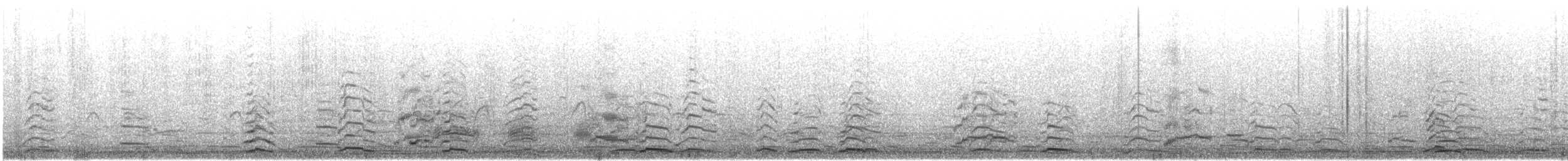 Beltxarga oihularia - ML645525582