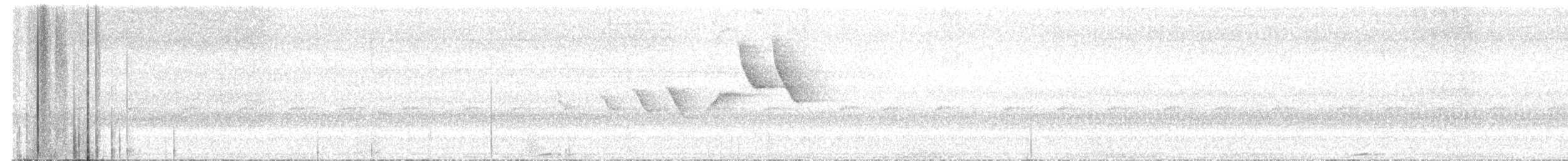 Amazonian Motmot - ML645525744