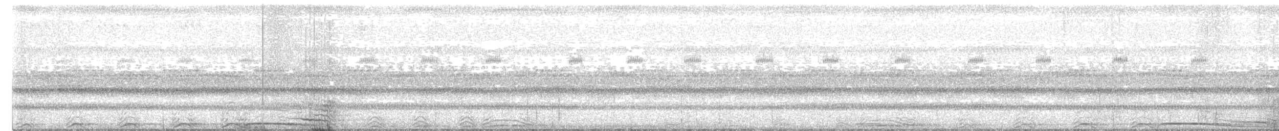 Barred Owl - ML645525758