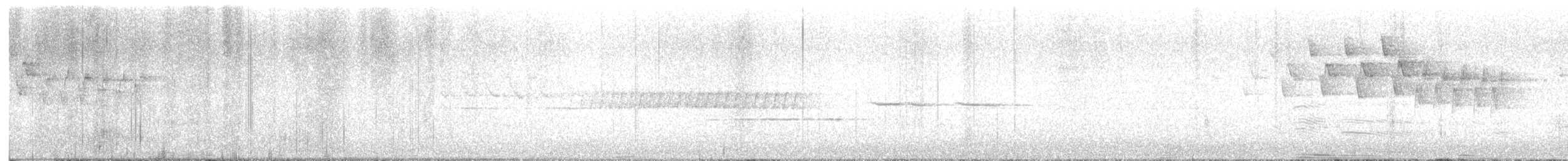 Pine Warbler - ML645525911