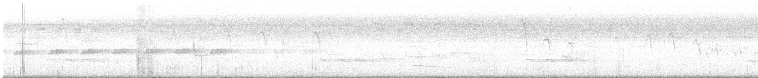 Short-tailed Swift (Short-tailed) - ML645526336