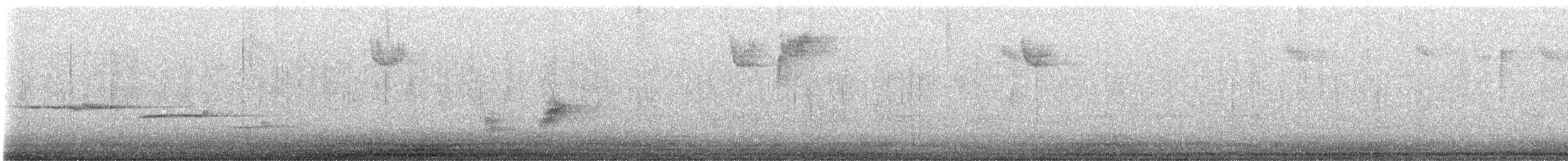 Белогорлая зонотрихия - ML645526479