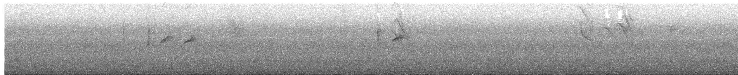 båndpiranga - ML645527066