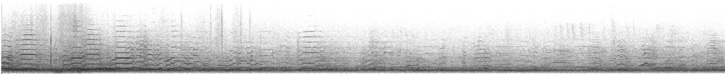 Tundra/Whooper Swan - ML645527080