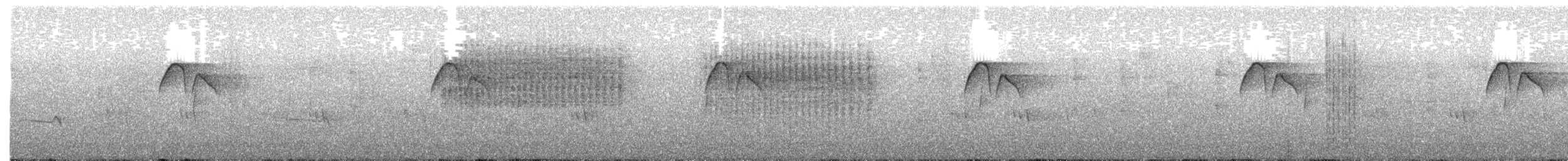 White-fronted Tyrannulet - ML645527143