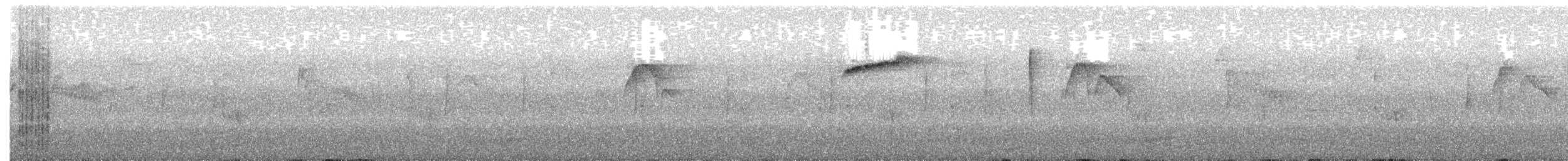 White-fronted Tyrannulet - ML645527145