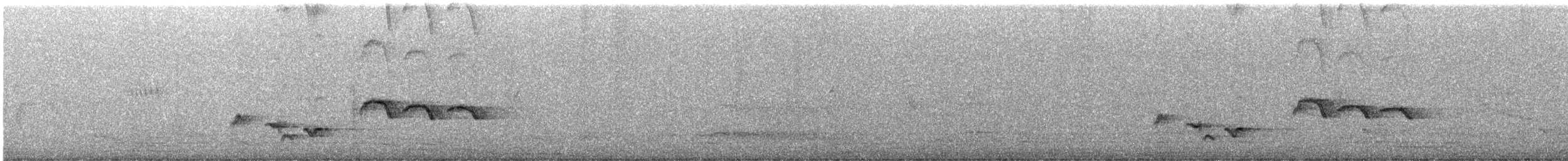 Spotted Morning-Thrush - ML645527245