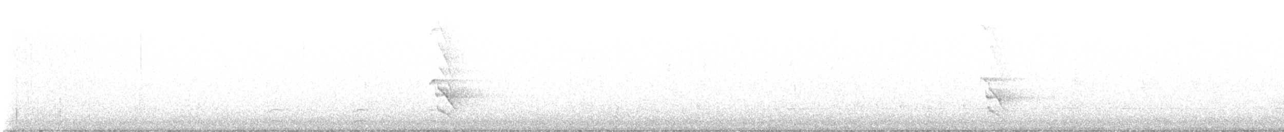 Goldspecht - ML645527778