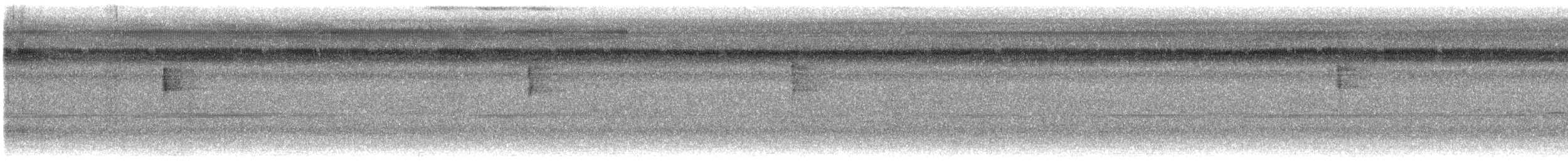 Northern Waterthrush - ML645527876