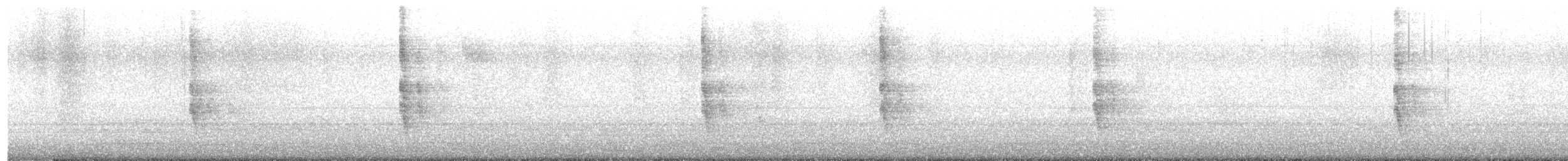 Northern Mockingbird - ML645527907