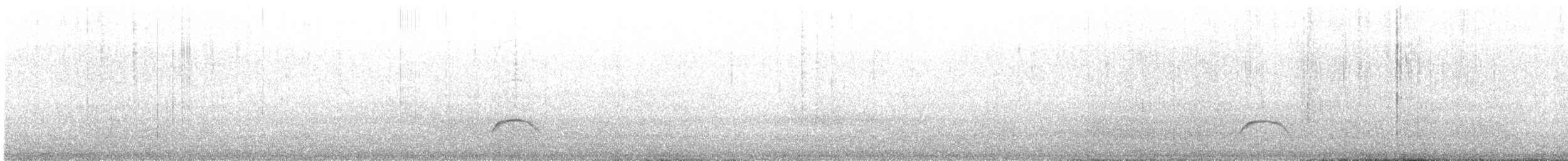 Weißkronen-Olivtyrann - ML645527936