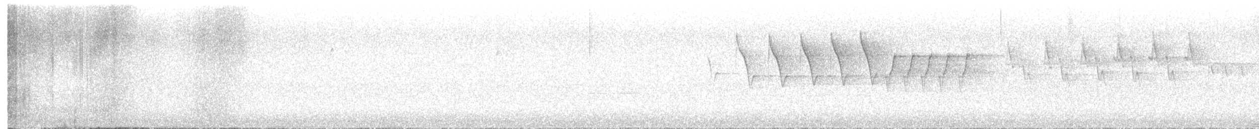 Meisenwaldsänger - ML645527971