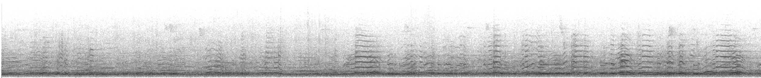 Zwerg-/Singschwan - ML645528008