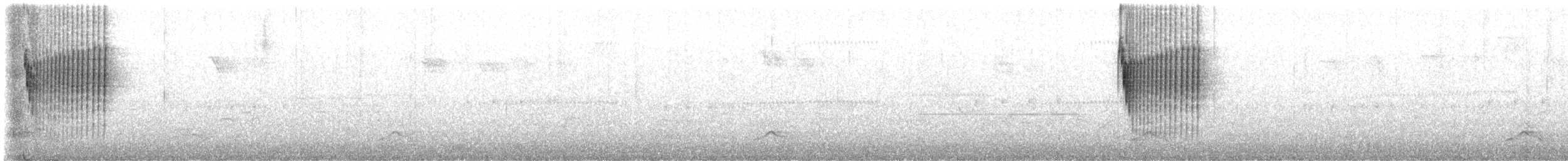 Zimttyrann - ML645528020