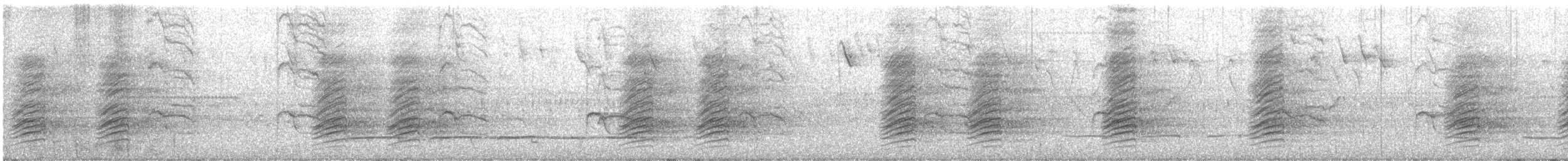 Bergkassike (Mittelandenkassike) - ML645528026