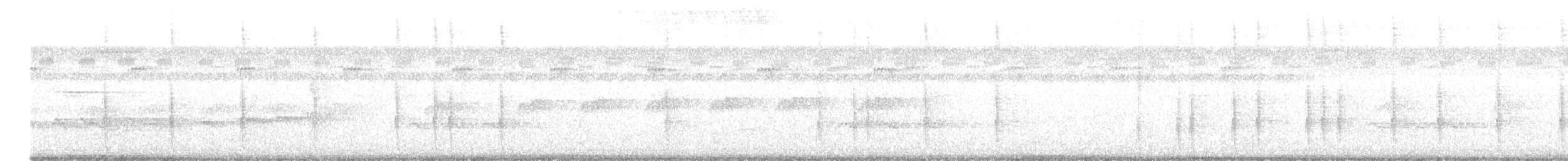 Zebraameisenwürger - ML645528081