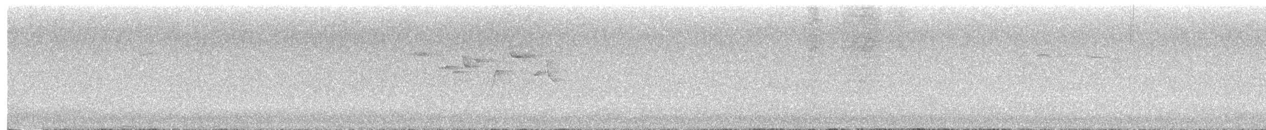 Amerikabaumläufer - ML645528116