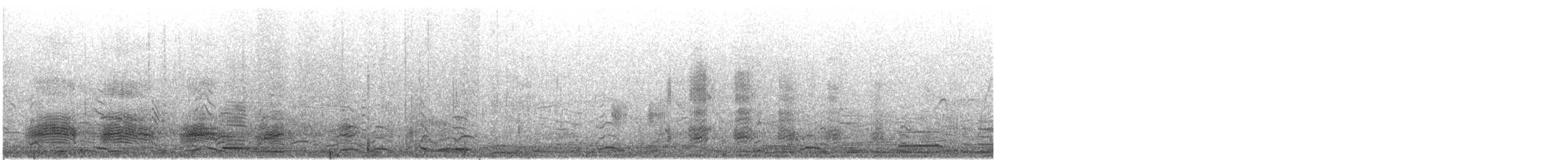 Stockente - ML645528560