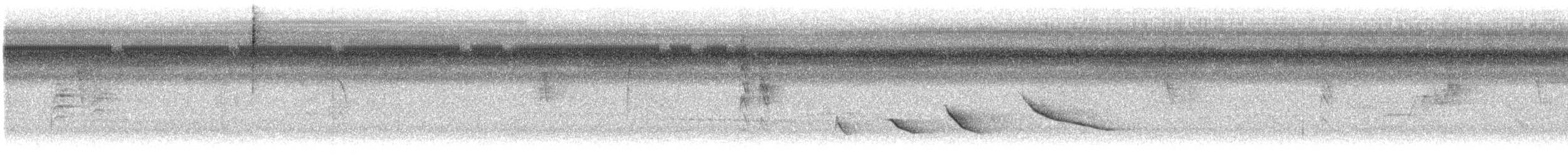 Strichelsaltator - ML645528615