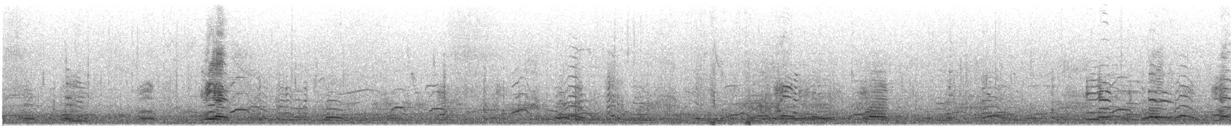 Tundra/Whooper Swan - ML645528795