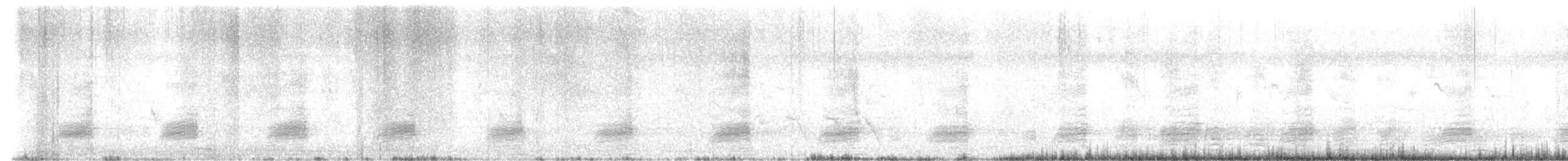 Eastern Spot-billed Duck - ML645528845