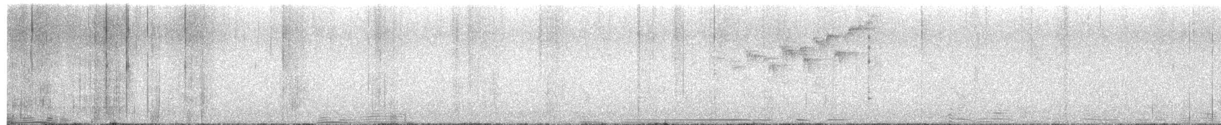 Blackburnian Warbler - ML645528895