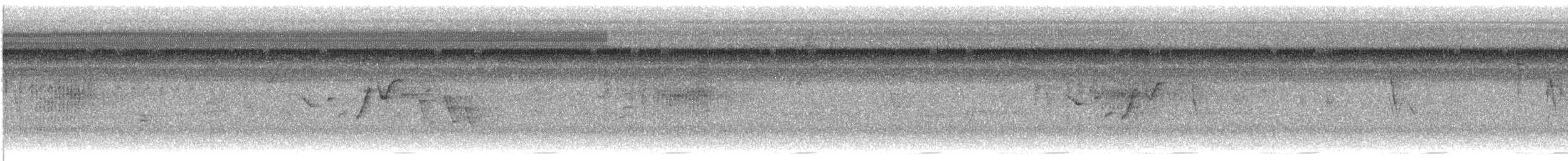 Buff-breasted Wren - ML645529112