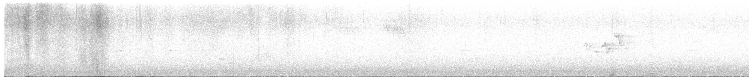 Magnolia Warbler - ML645529178