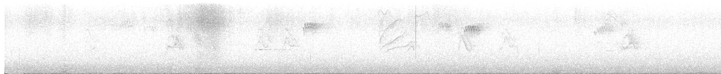 Ampelis Americano - ML645529350