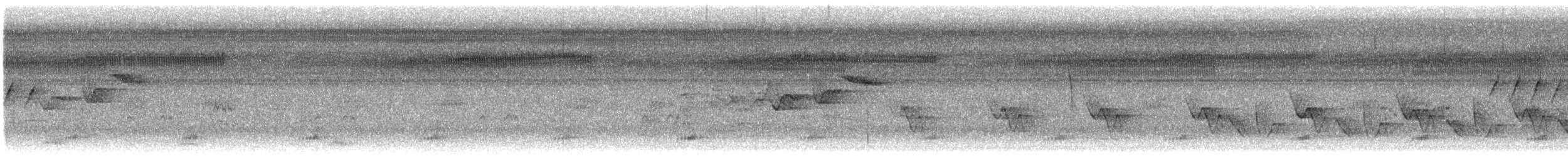 Tucán Piquiverde - ML645529374