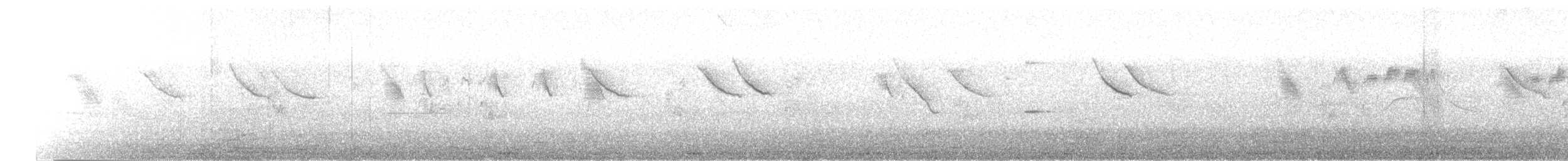 アイイロツバメ（cyanoleuca） - ML645529468