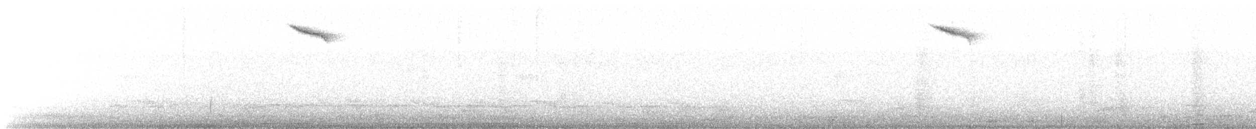 ナンベイコマツグミ - ML645529566