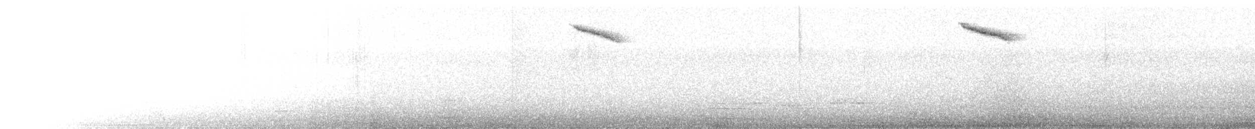 ナンベイコマツグミ - ML645529567