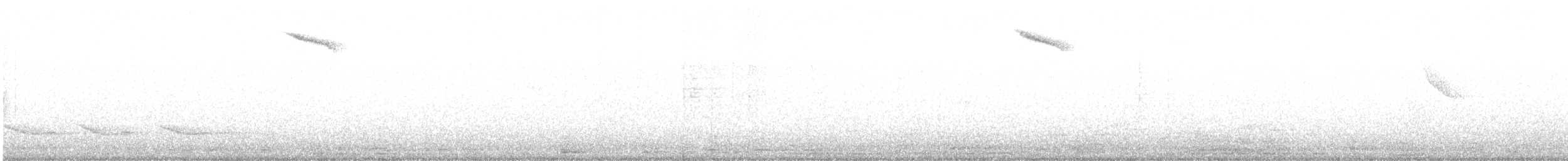 ナンベイコマツグミ - ML645529568