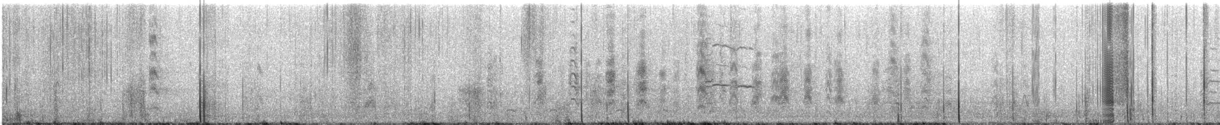 Bonaparte's Gull - ML645529762