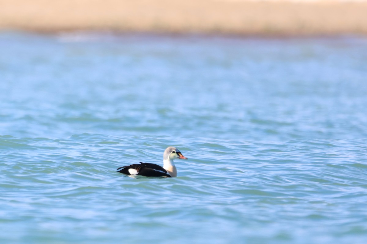 Éider Real - ML645529807