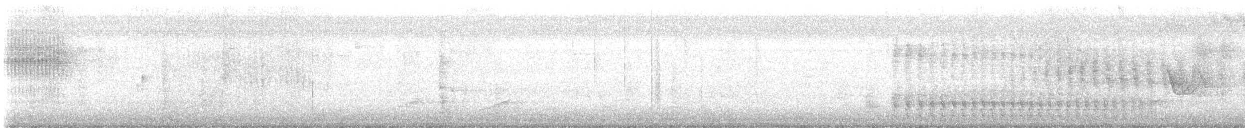 Vireo Solitario - ML645529857