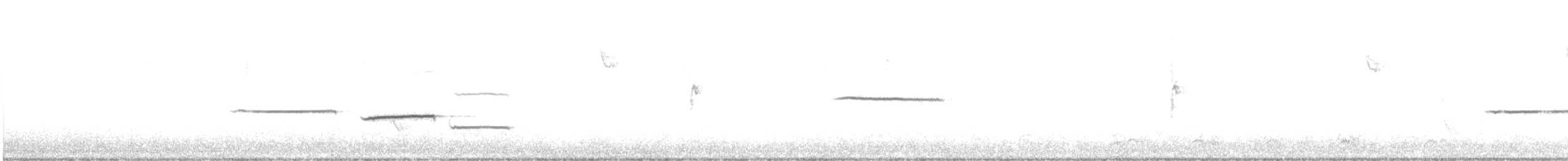 White-throated Sparrow - ML645531740