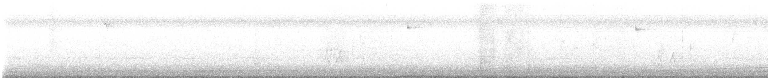 Red-bellied Woodpecker - ML645532358