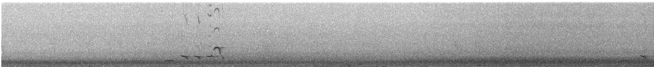 bird sp. - ML645532395