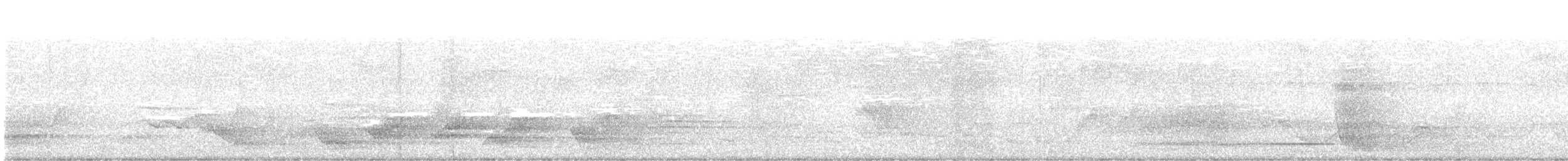 Superb Lyrebird - ML645532581